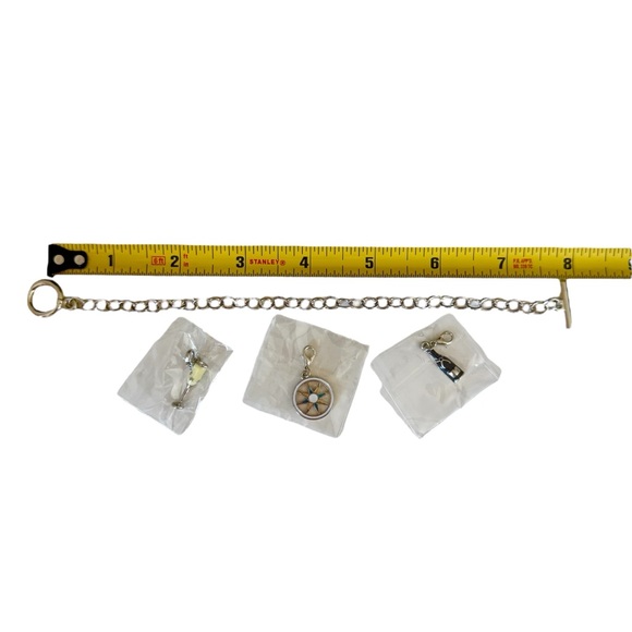 Charm Bracelet Silvertone with 3 Princess Cruise Charms. NEW! - Picture 6 of 11